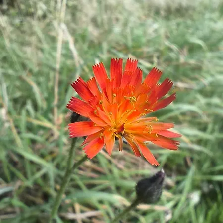 La Du Grand Chene - Insolite, Bain Nordique & Piscine Lodge