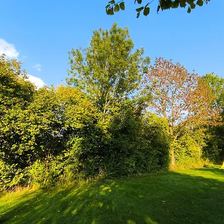 Lodge La Du Grand Chene - Insolite, Bain Nordique & Piscine