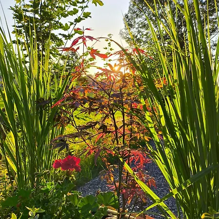 La Du Grand Chene - Insolite, Bain Nordique & Piscine