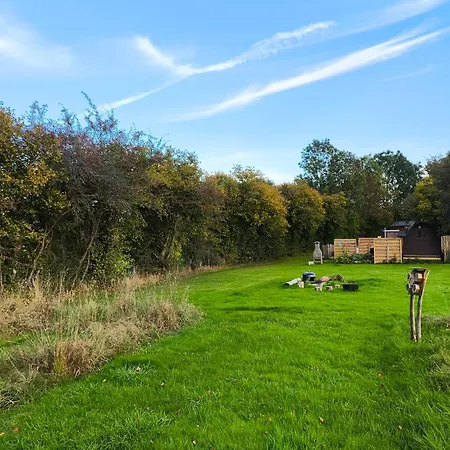 La Du Grand Chene - Insolite, Bain Nordique & Piscine *