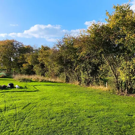 La Du Grand Chene - Insolite, Bain Nordique & Piscine Gouvy
