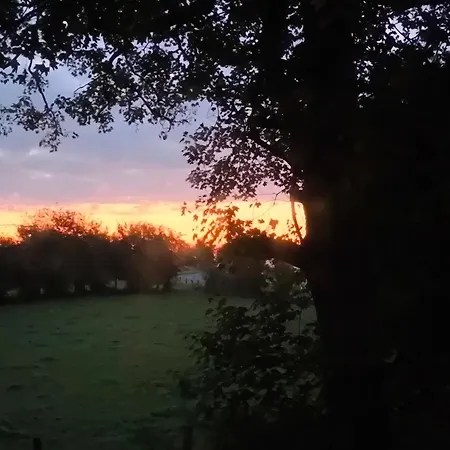 La Du Grand Chene - Insolite, Bain Nordique & Piscine * Gouvy