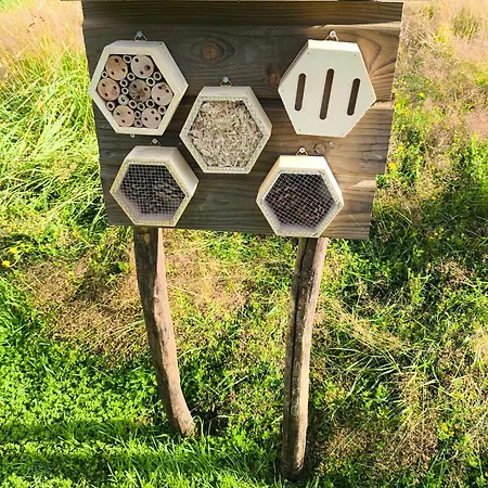 La Du Grand Chene - Insolite, Bain Nordique & Piscine *