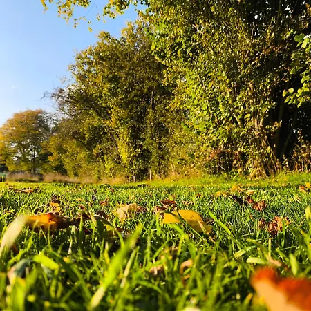 La Du Grand Chene - Insolite, Bain Nordique & Piscine Lodge *