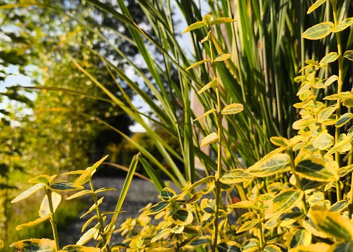 La Du Grand Chene - Insolite, Bain Nordique & Piscine Lodge *