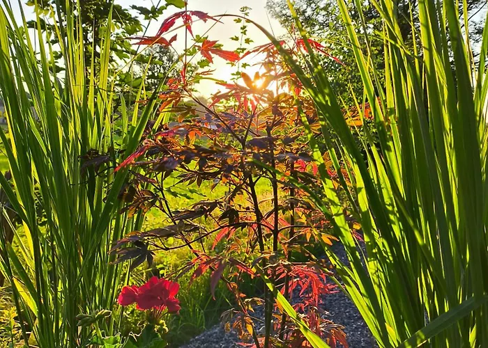 La Du Grand Chene - Insolite, Bain Nordique & Piscine