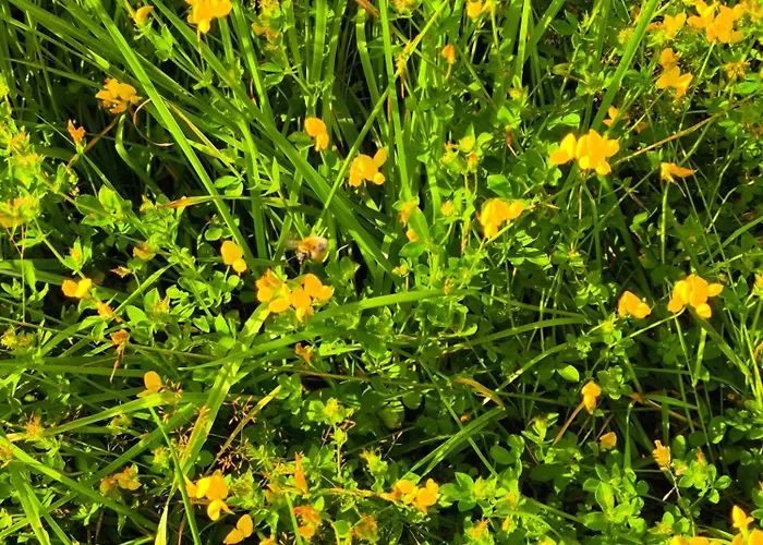 La Du Grand Chene - Insolite, Bain Nordique & Piscine Lodge *