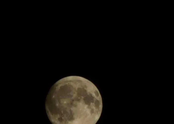 La Du Grand Chene - Insolite, Bain Nordique & Piscine *