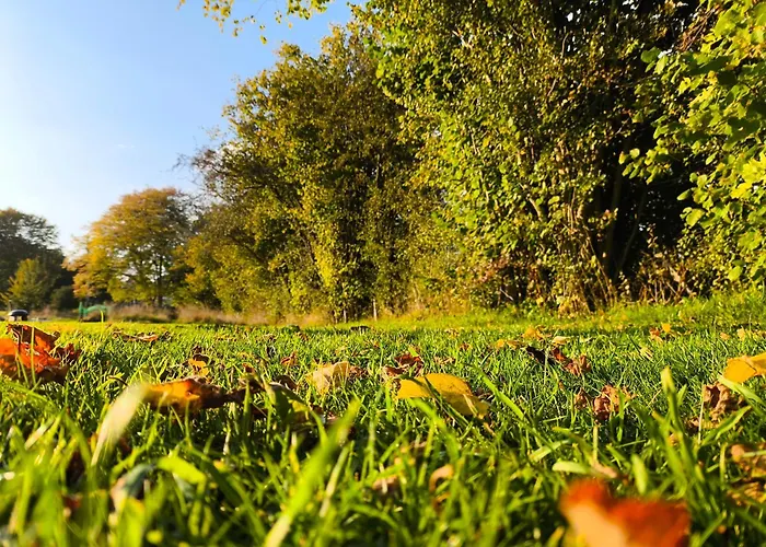 La Du Grand Chene - Insolite, Bain Nordique & Piscine Lodge *